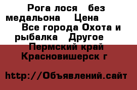 Рога лося , без медальона. › Цена ­ 15 000 - Все города Охота и рыбалка » Другое   . Пермский край,Красновишерск г.